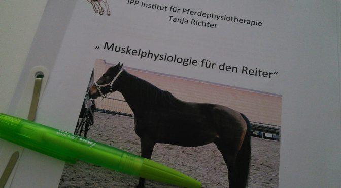 Die Muskelphysiologie des Pferdes, Seminar bei Tanja Richter